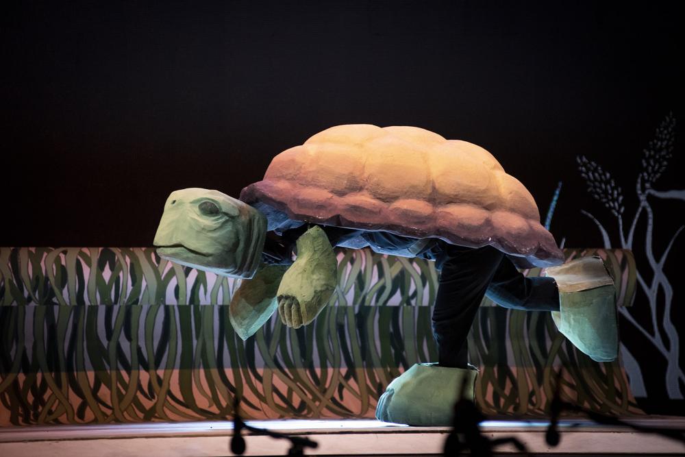 “El carnaval de los animales” vuelve a la Plaza Seca del Teatro Argentino