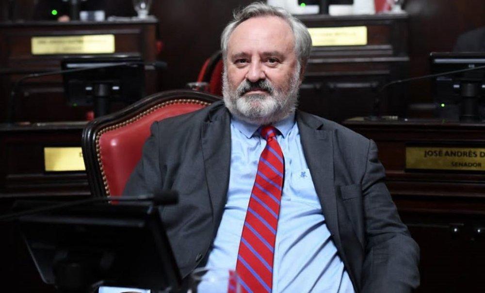 Senador de Juntos pidió usar el rebenque para sacar el lenguaje inclusivo