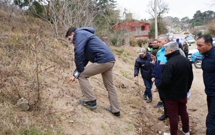 Cómo sigue Villa Gesell: un puma volvió al bosque y no se sabe si hay un segundo