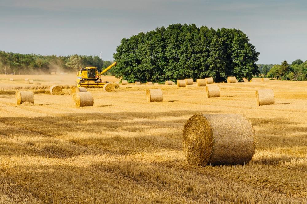 El campo asegura que “asistimos a una violenta embestida del Gobierno”