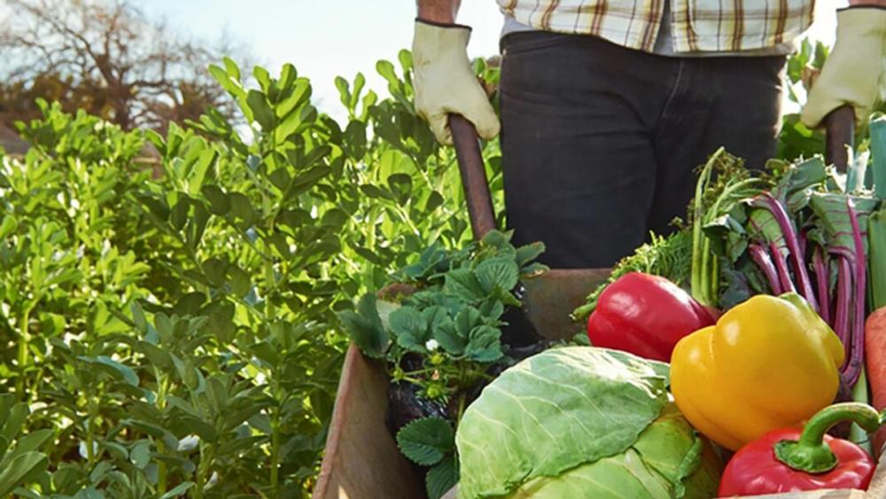 El Gobierno bonaerense creó la Mesa Provincial de Agricultura Familiar
