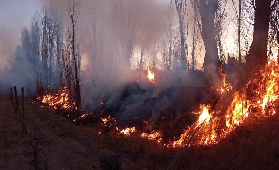 La Provincia reglamentó la ley de Manejo de Fuego: de qué se trata