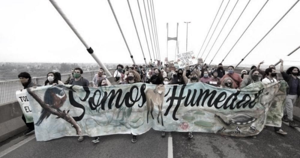 Escuchá la entrevista a Rodolfo Martínez, de la Multisectorial Humedales