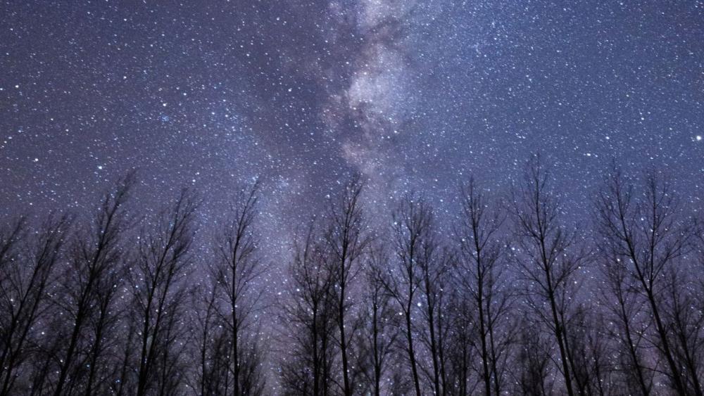 Turismo: disfrutá de los cielos bonaerenses y regalate increíbles fotos del universo