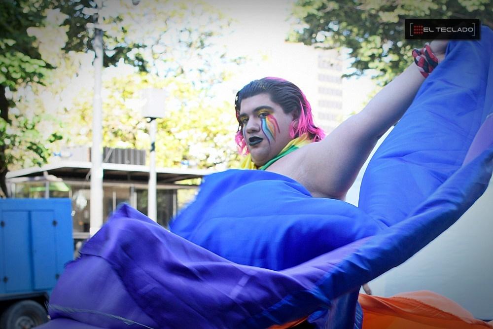 La 9° marcha provincial del orgullo en La Plata, en fotos