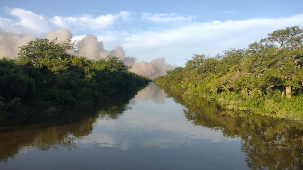 Fuego sin tregua: se incendia la Reserva Natural de Punta Lara