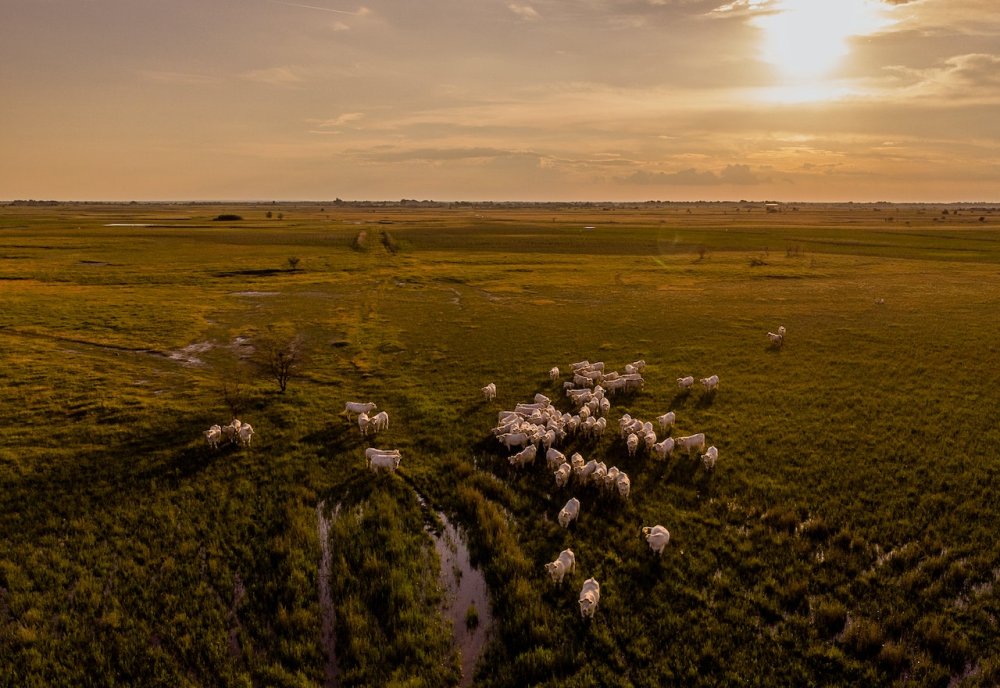 Platita por votitos: intendente ultraK apechugó y lanzó un gesto hacia el campo