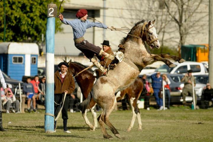 Se viene la cuadragésima edición de la Fiesta Nacional “Semana de Santos Vega”