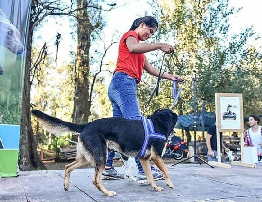 Fin de semana en Escobar: Animalooza, RiderFest y mucho más