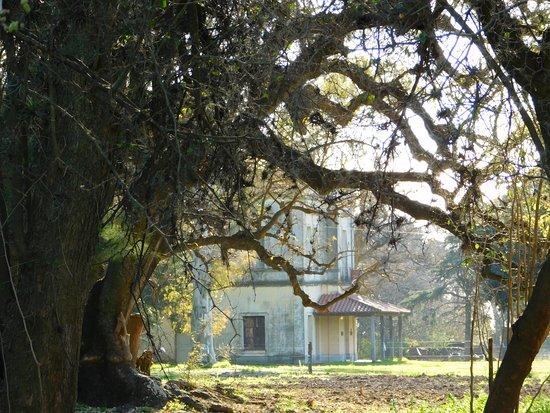 Avanza la expropiación de una reserva natural del Conurbano