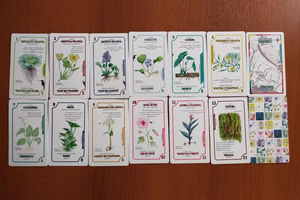 La identidad en lo cotidiano: salieron los naipes con plantas del delta de Berisso
