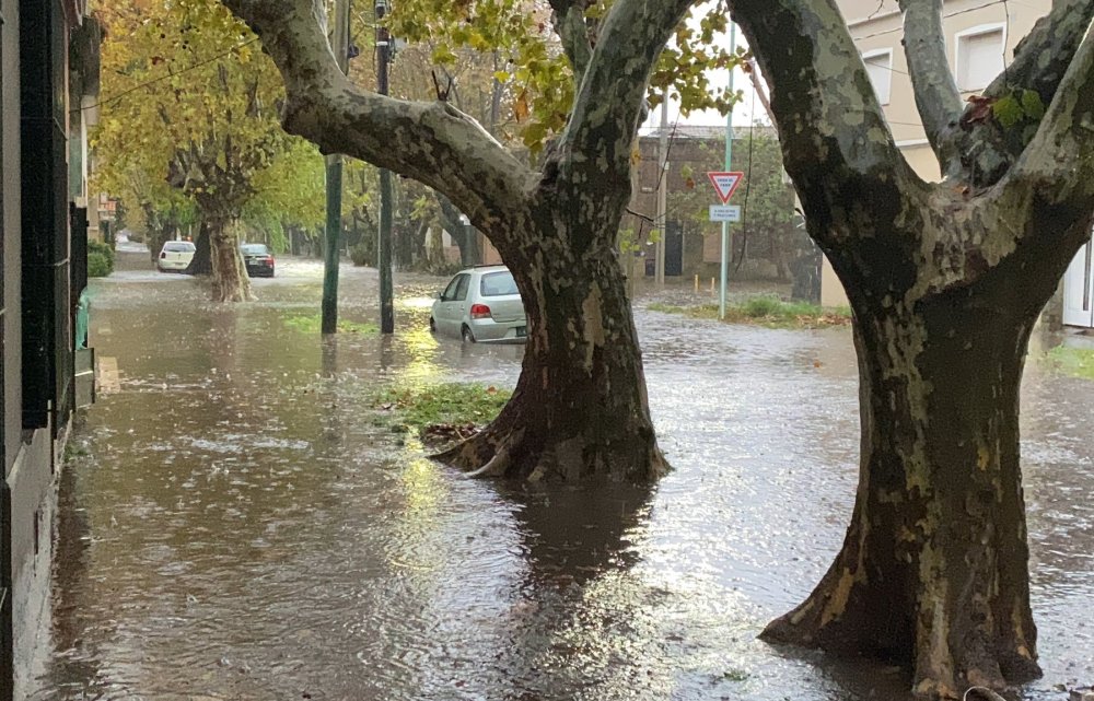 En La Plata, fue “la precipitación más intensa de los últimos cuatro años”