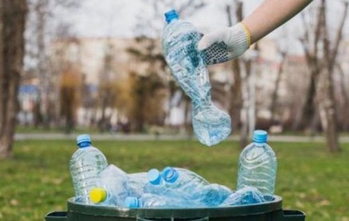 Un plantín por cinco botellas: gran movida costera a favor del medioambiente