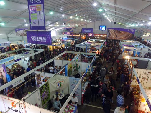 Arranca la vigésima Fiesta del Vino de la Costa en Berisso: cronograma completo
