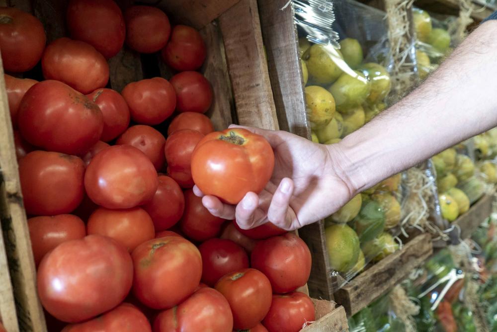 Acuerdo de precios en La Plata: productos en oferta de los mercados Central y Regional