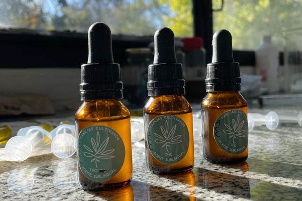 La UNLP incorporó el uso de cannabis en pacientes con patologías neurológicas