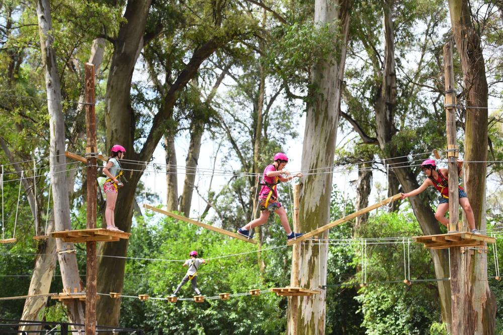 Turismo conurbano: una granja y un parque aéreo para disfrutar en familia