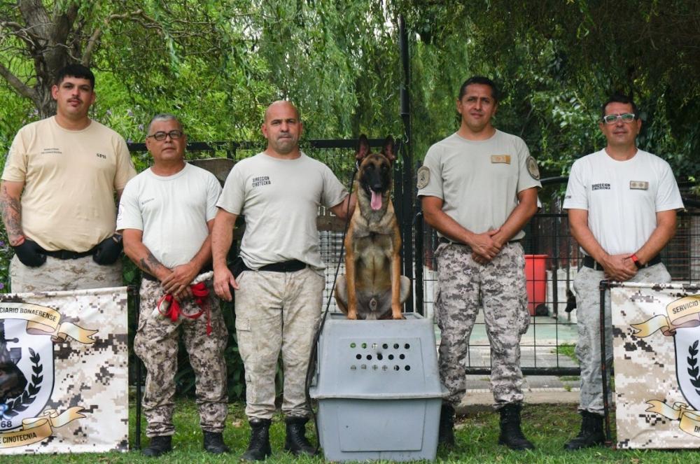 Acá, drogas no: las cárceles bonaerenses suman perros detectores de estupefacientes