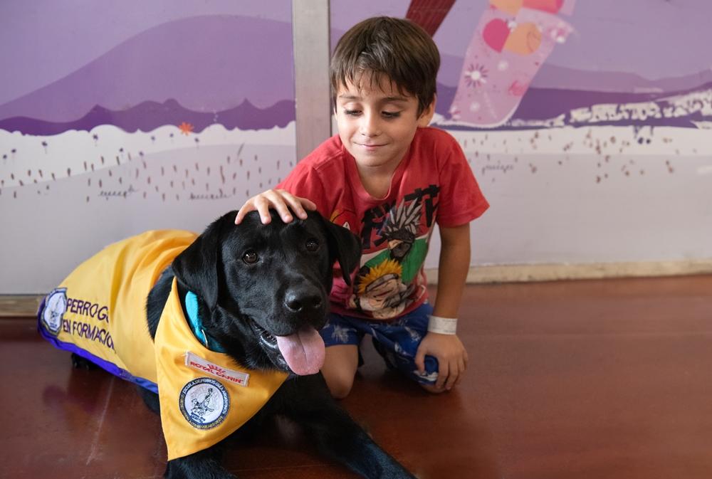 El Garrahan implementó por primera vez la terapia asistida con perros