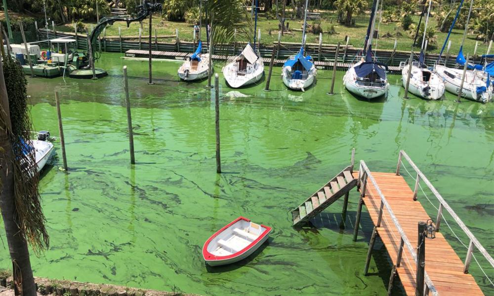 Seis municipios de la Provincia mantienen el alerta roja por cianobacterias