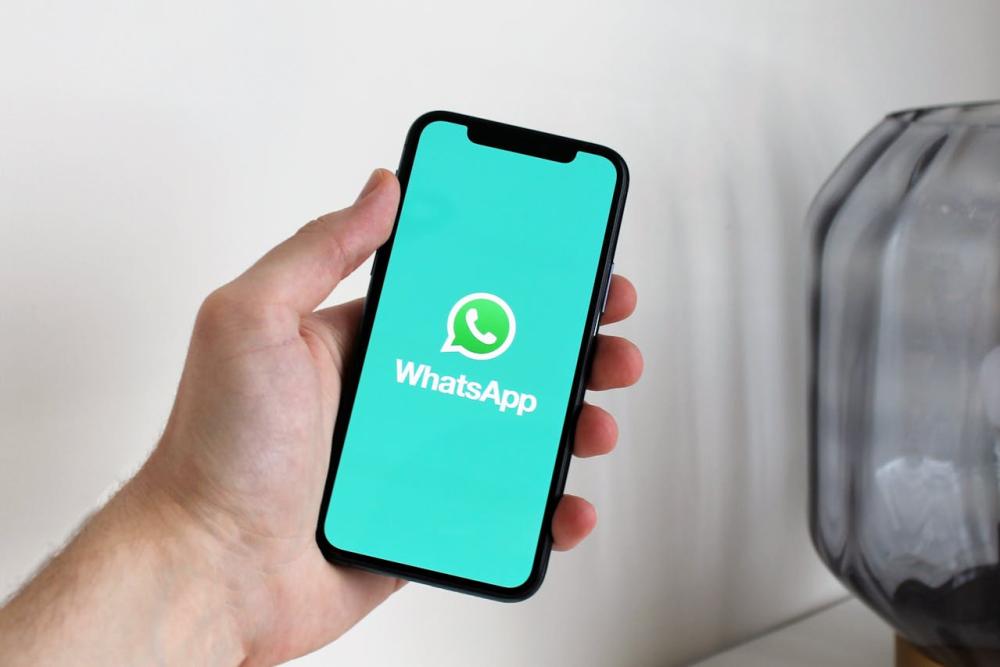 Notición: los platenses que viajan a Buenos Aires ya tienen su grupo de Whatsapp