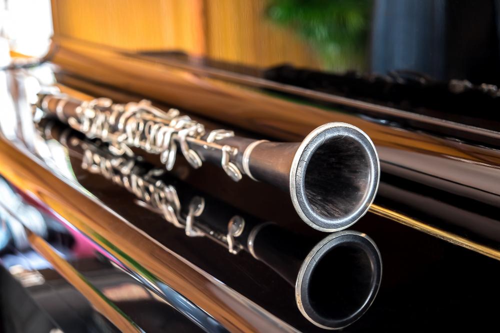 El Teatro Argentino presenta un nuevo concierto en el ciclo de música de cámara