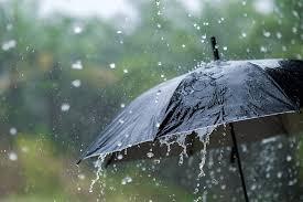 Atención, La Plata y alrededores: establecen el alerta amarillo por lluvias y vientos
