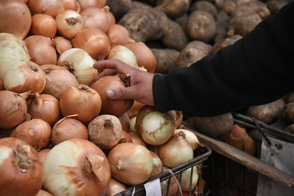 La Plata: el Mercado Regional y una nueva lista de precios con descuentos y promociones