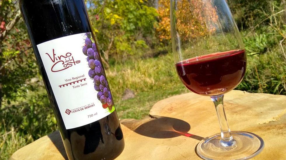 Llega la 21° edición de la Fiesta del Vino de la Costa: todas las actividades