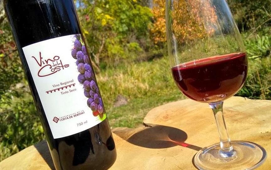 Arranca una nueva edición de la Fiesta del Vino de la Costa: todas las actividades