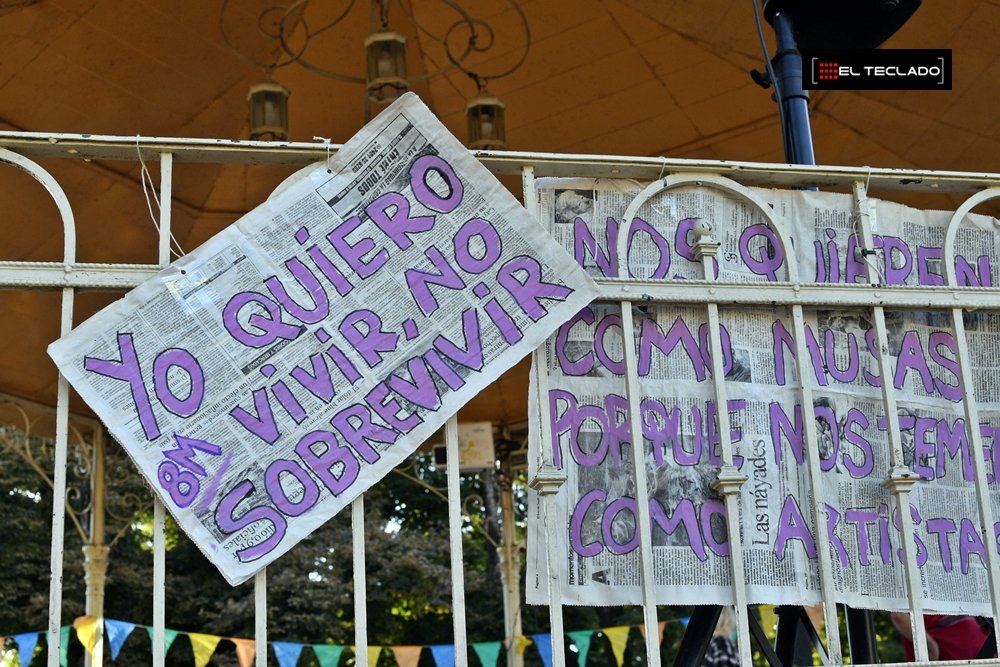 Duro informe: las medidas de Milei multiplicarán los femicidios en Argentina