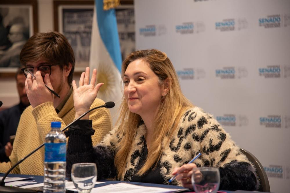 Basta de todes: senadora del PRO quiere prohibir el lenguaje inclusivo en colegios
