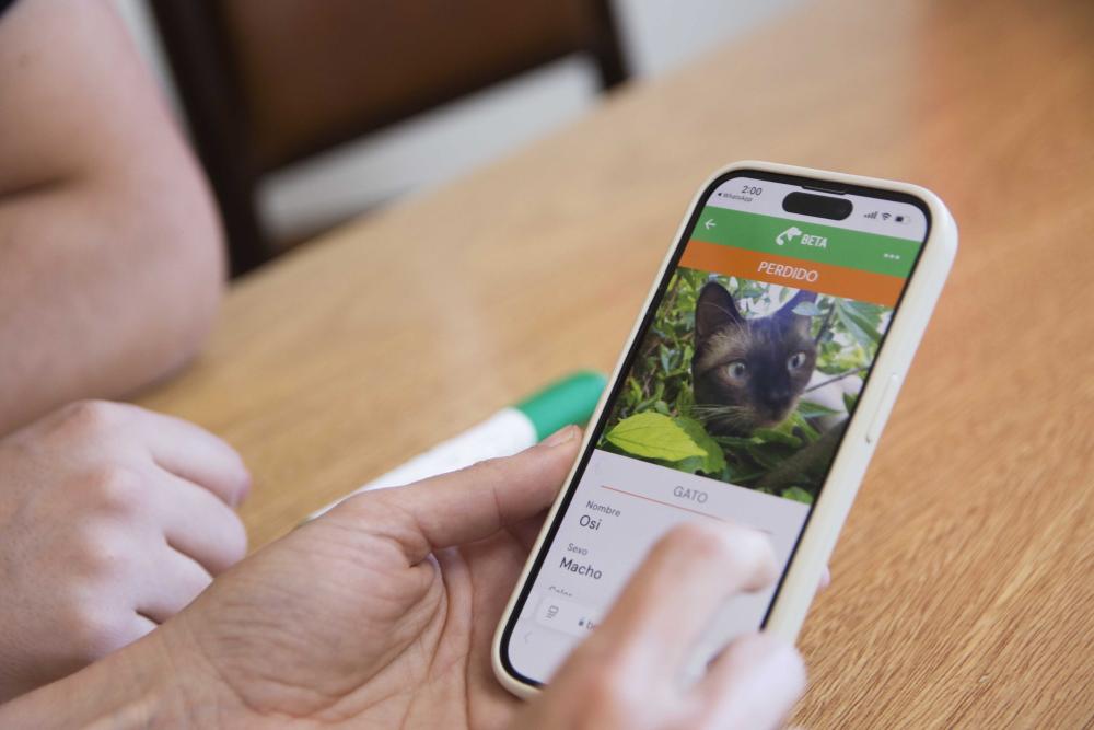 La UNLP desarrolló una web para la búsqueda y adopción de mascotas