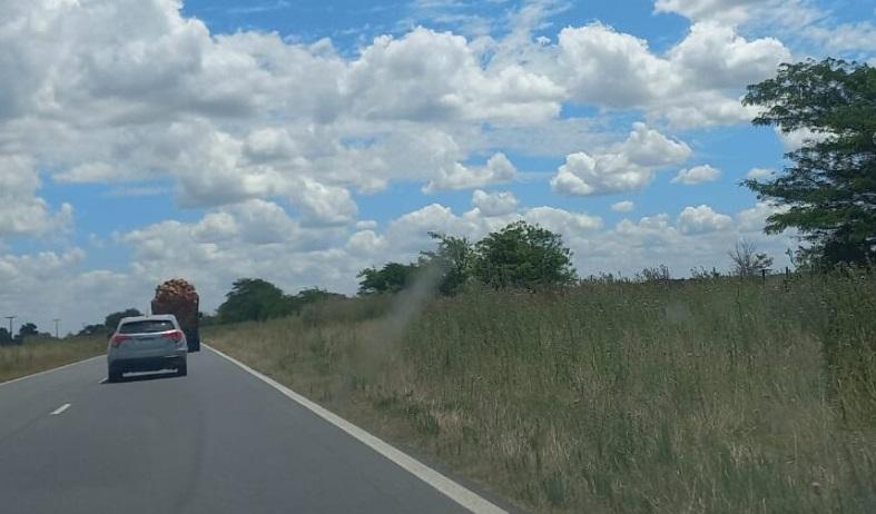 Intendenta PRO se suma a la fila de reclamos por el estado de las rutas nacionales