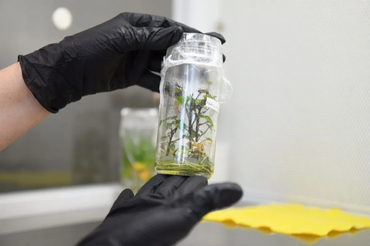 La Provincia trabaja junto a Cuba para investigación en biotecnología