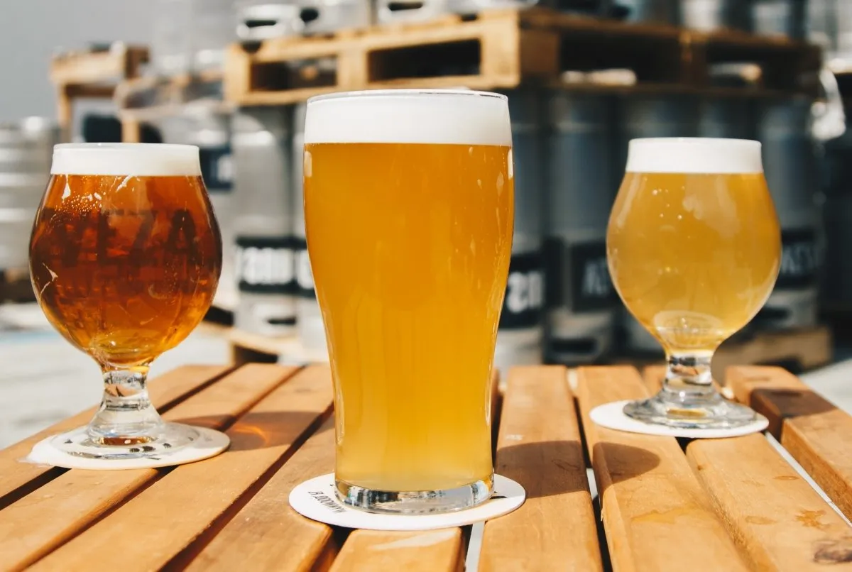 ¿A vos, cuál te gusta: rubia, negra o IPA? Llegó la Fiesta de la Cerveza Hornense