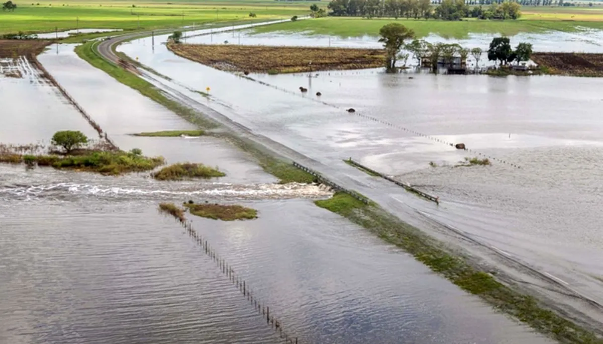 Piden a Kicillof que declare la emergencia agropecuaria en 4 distritos por inundaciones