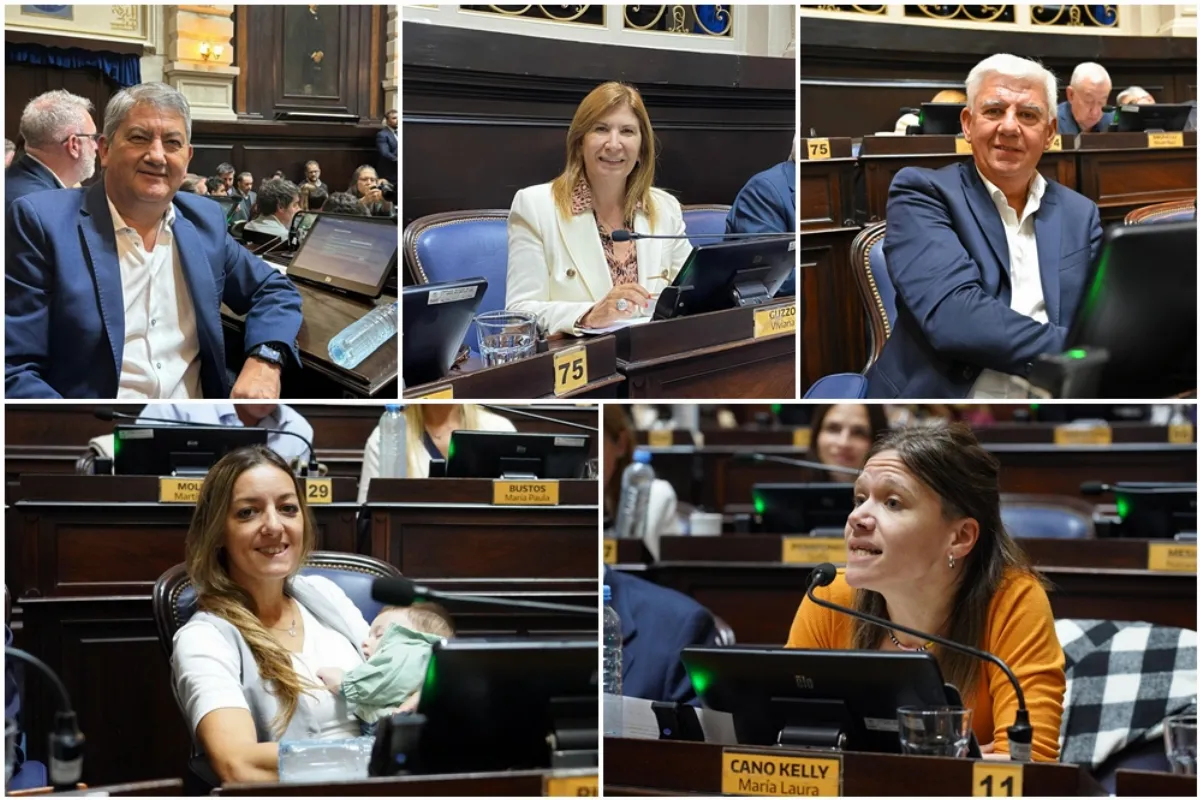 Qué dijeron los diputados de todos los bloques tras la suspensión de las PASO