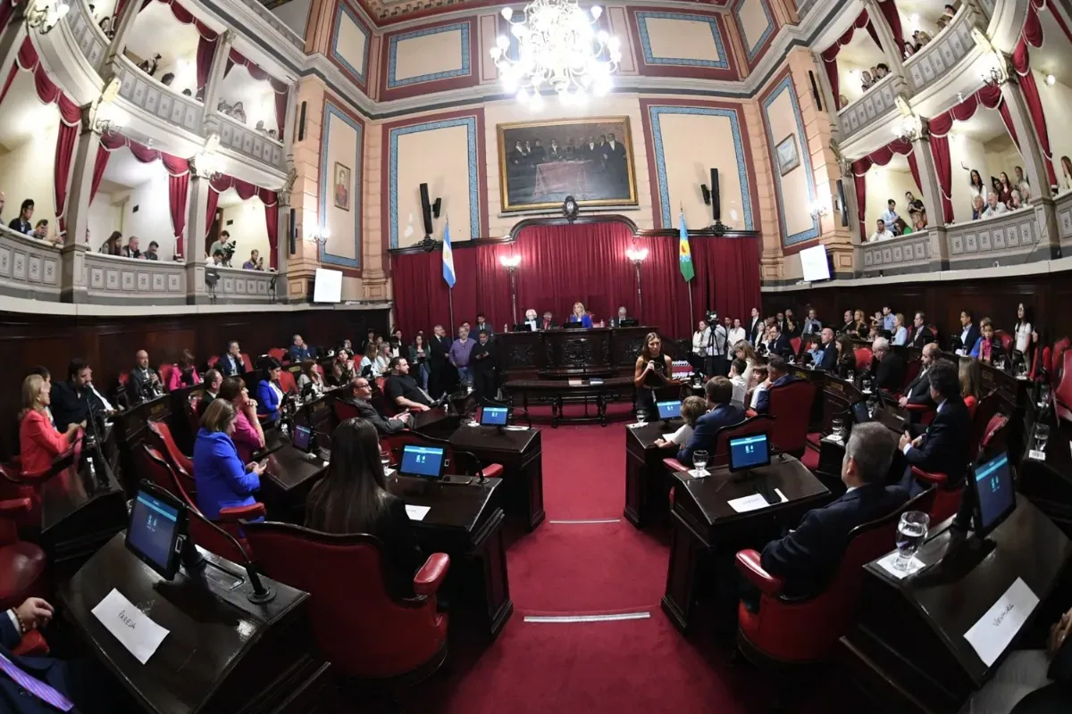 El Senado dio el ok y avanza la suspensión de las PASO en la Provincia