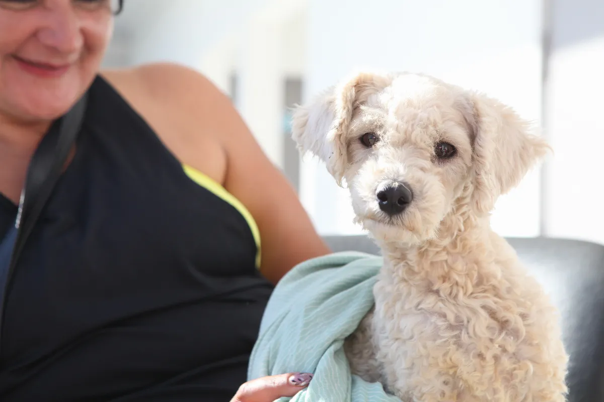 La Plata: dónde vacunar de forma gratuita a tu perro o gato la semana que viene
