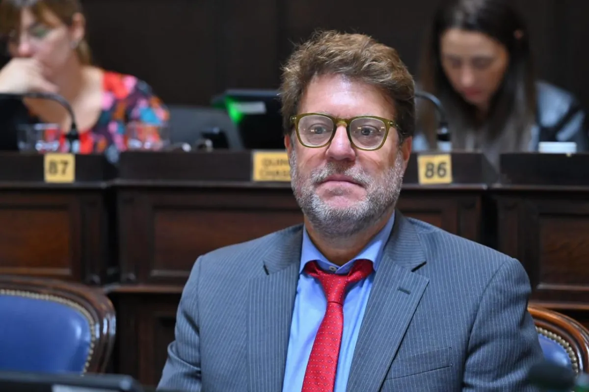 Diego Garciarena: “El radicalismo no está funcionando como partido nacional”