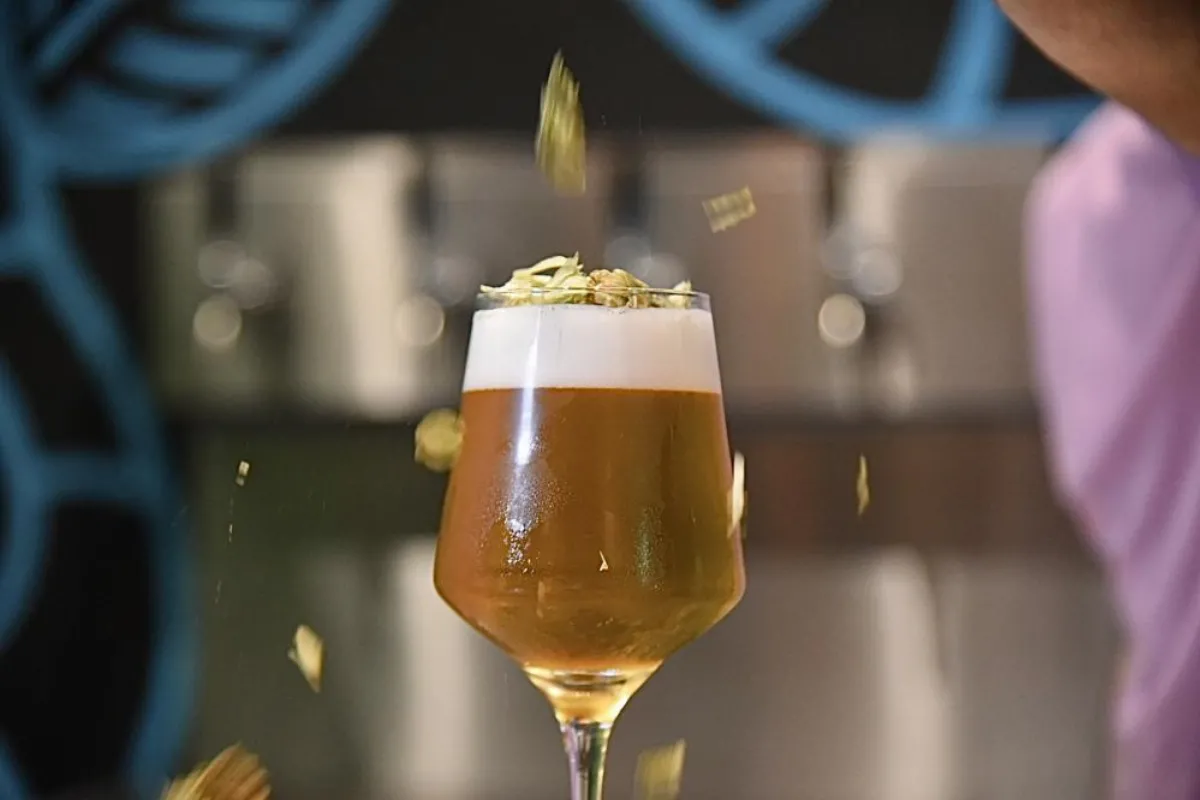 Llega el Festival de la Cerveza Capital 2025 con dos días a puro sabor y música