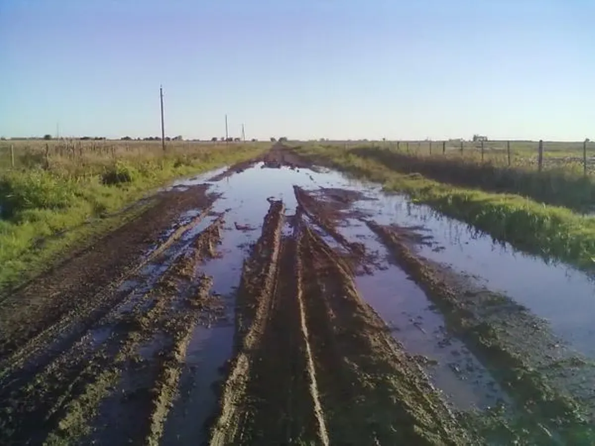 Junín: productores apuntan al intendente por el estado de los caminos rurales