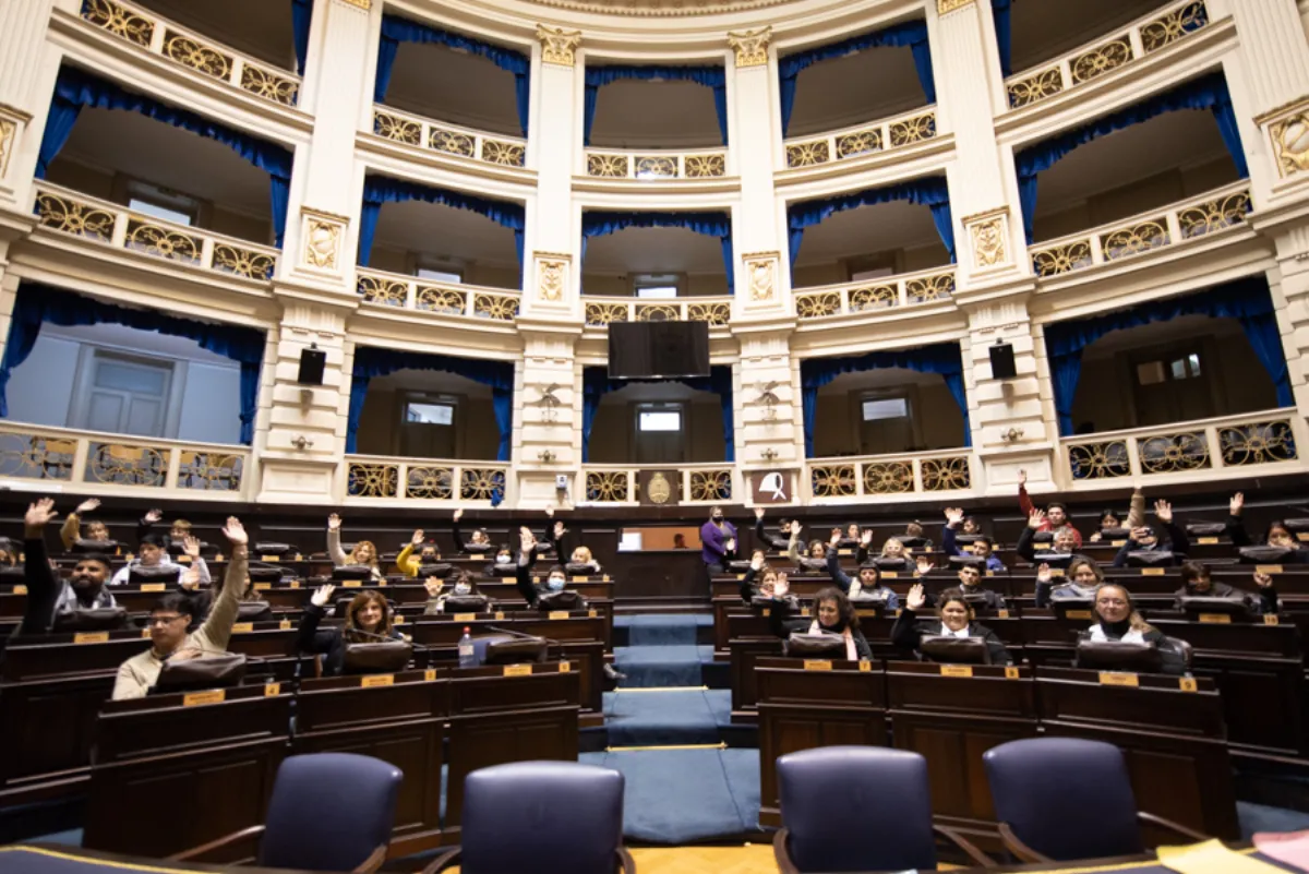 Diputada lilita presentó una batería de medidas para modernizar la Legislatura