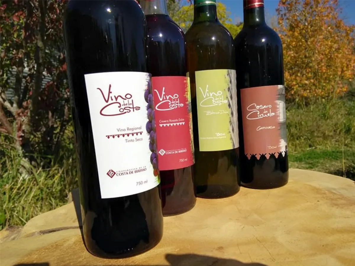 Falta muy poco para la 22° edición de la Fiesta del Vino de la Costa