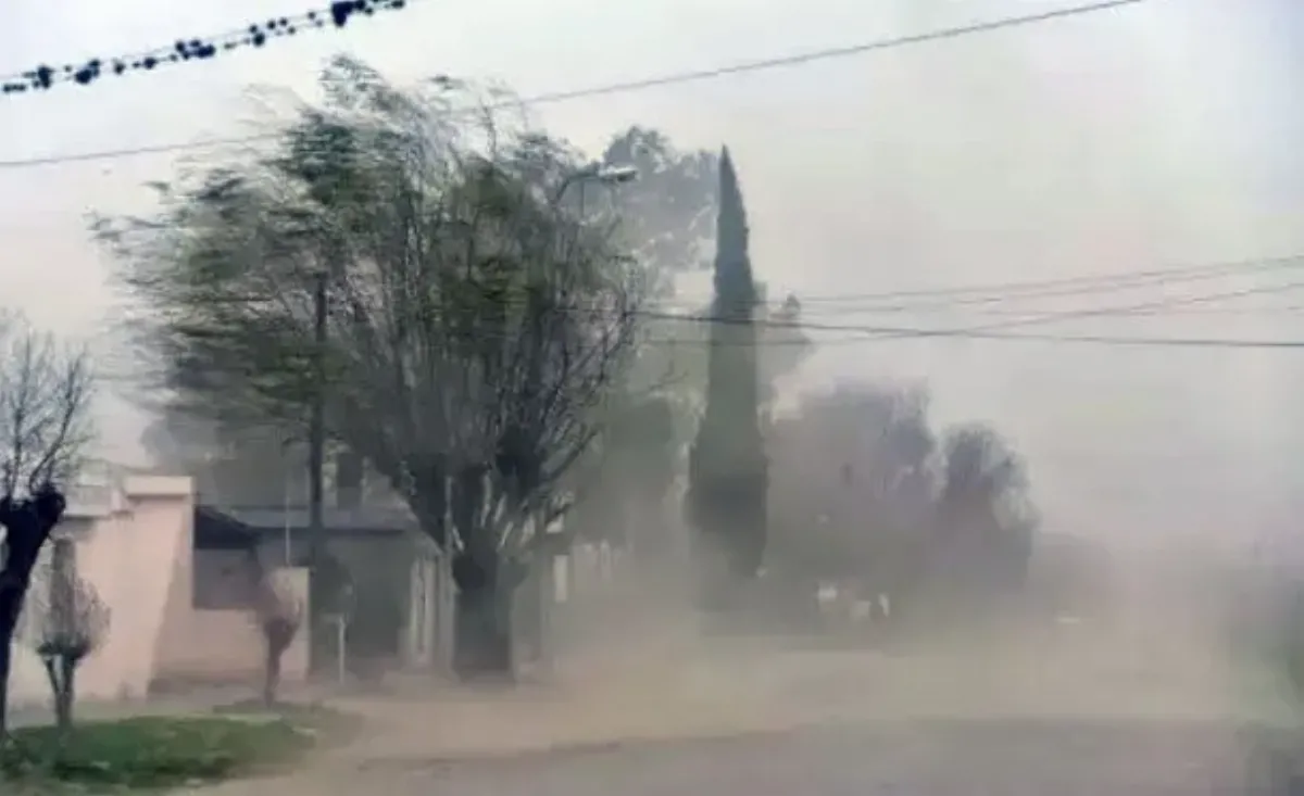 Domingo para no salir: establecen el nivel de alerta amarillo por vientos en el AMBA