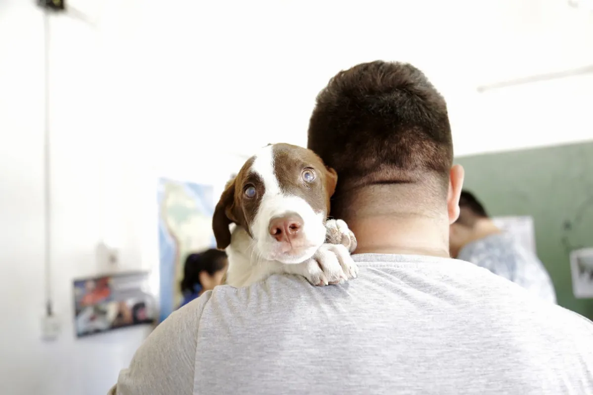 Una localidad del Conurbano, modelo latinoamericano por su política de salud animal