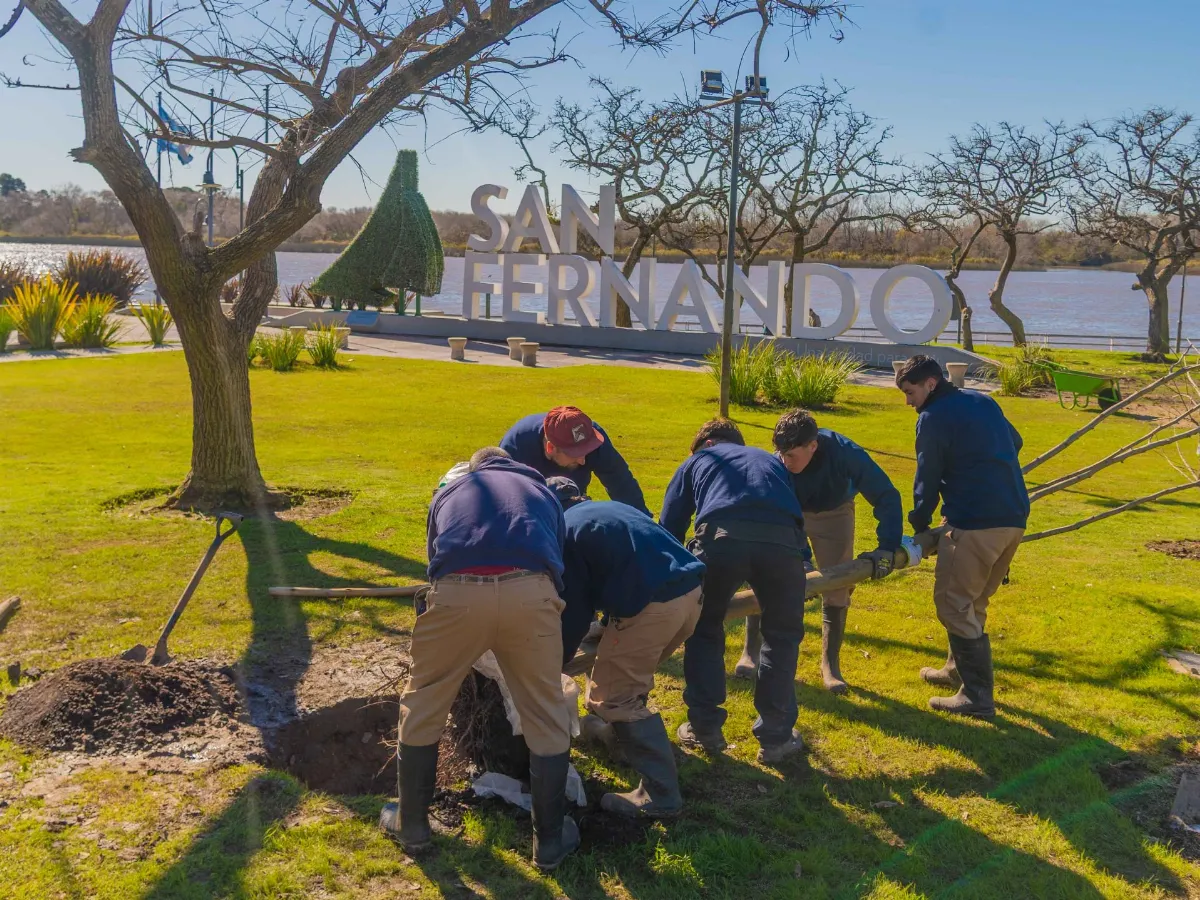 San Fernando, a pura onda verde: plantarán este año 3000 nuevos árboles