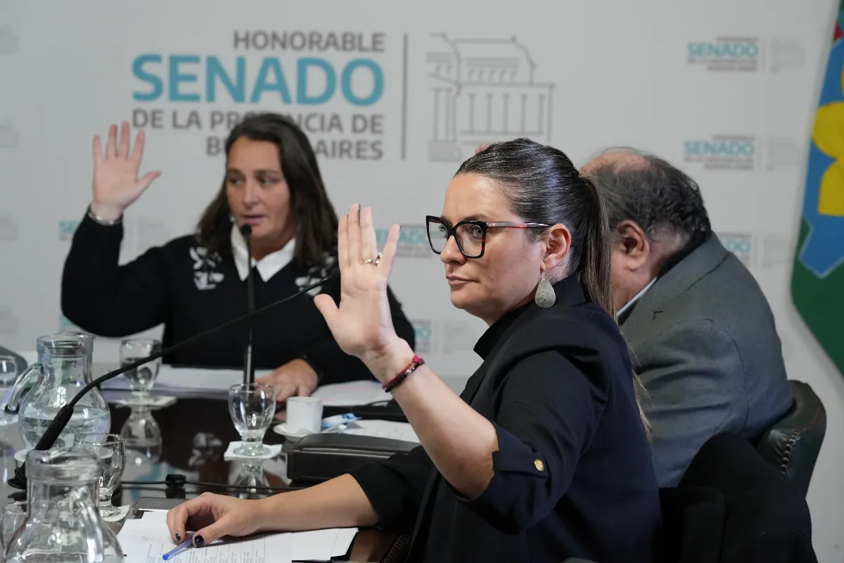 Senado: buscan fortalecer el trabajo de los talleres protegidos en la Provincia