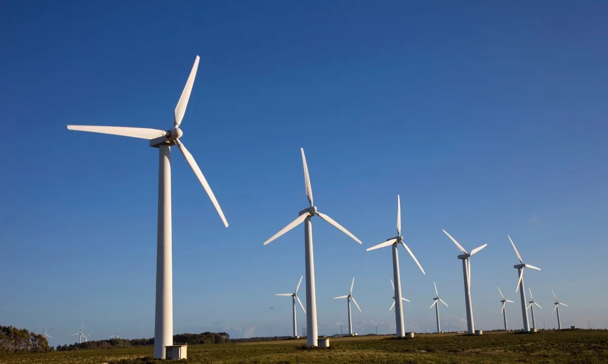 Municipio del Sur bonaerense busca consolidar su perfil energético con nuevo parque eólico